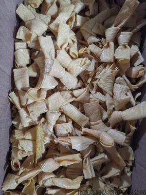 豆结