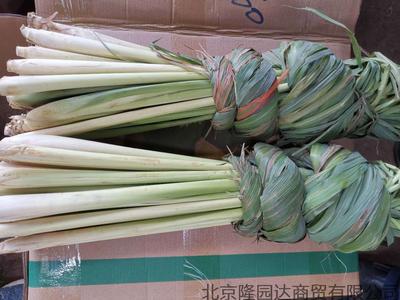 香茅草