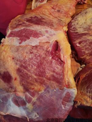 放养无饲料带皮小黄牛