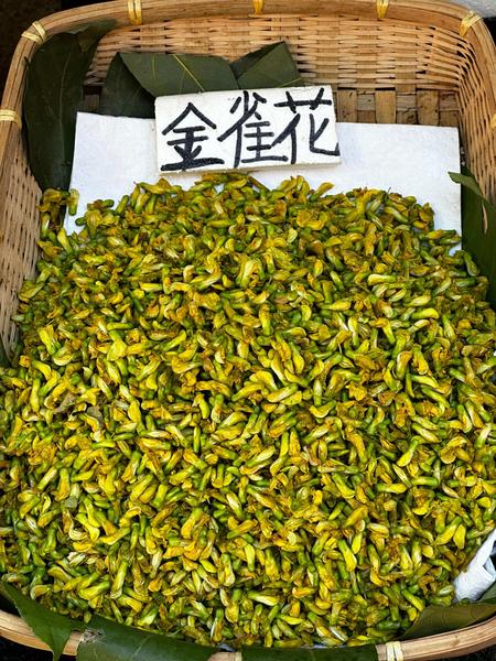 新鲜金雀花