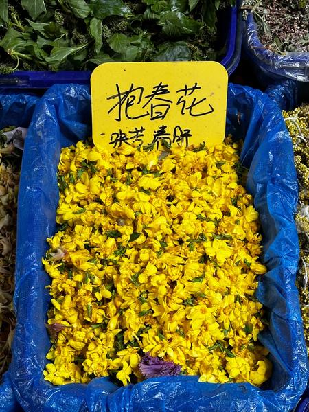 报春花