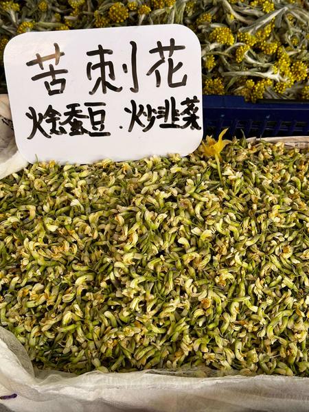 新鲜苦刺花