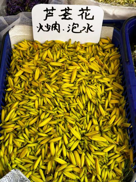 芦荟花