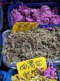 密蒙花