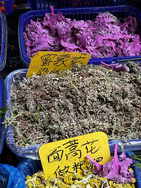 密蒙花